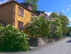 Trondheim