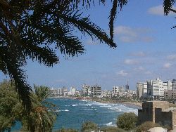 Yafo
