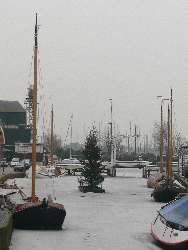 Weihnachtsbaum auf Floß