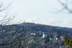Birkenkopf