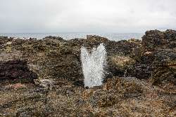Kiama Blowhole