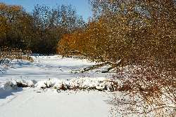Beaver Dam