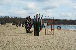 Art Installation